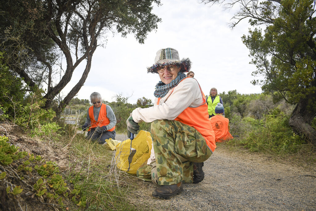 Community Update Ocean Grove Coastcare Group.   Rita Matthews