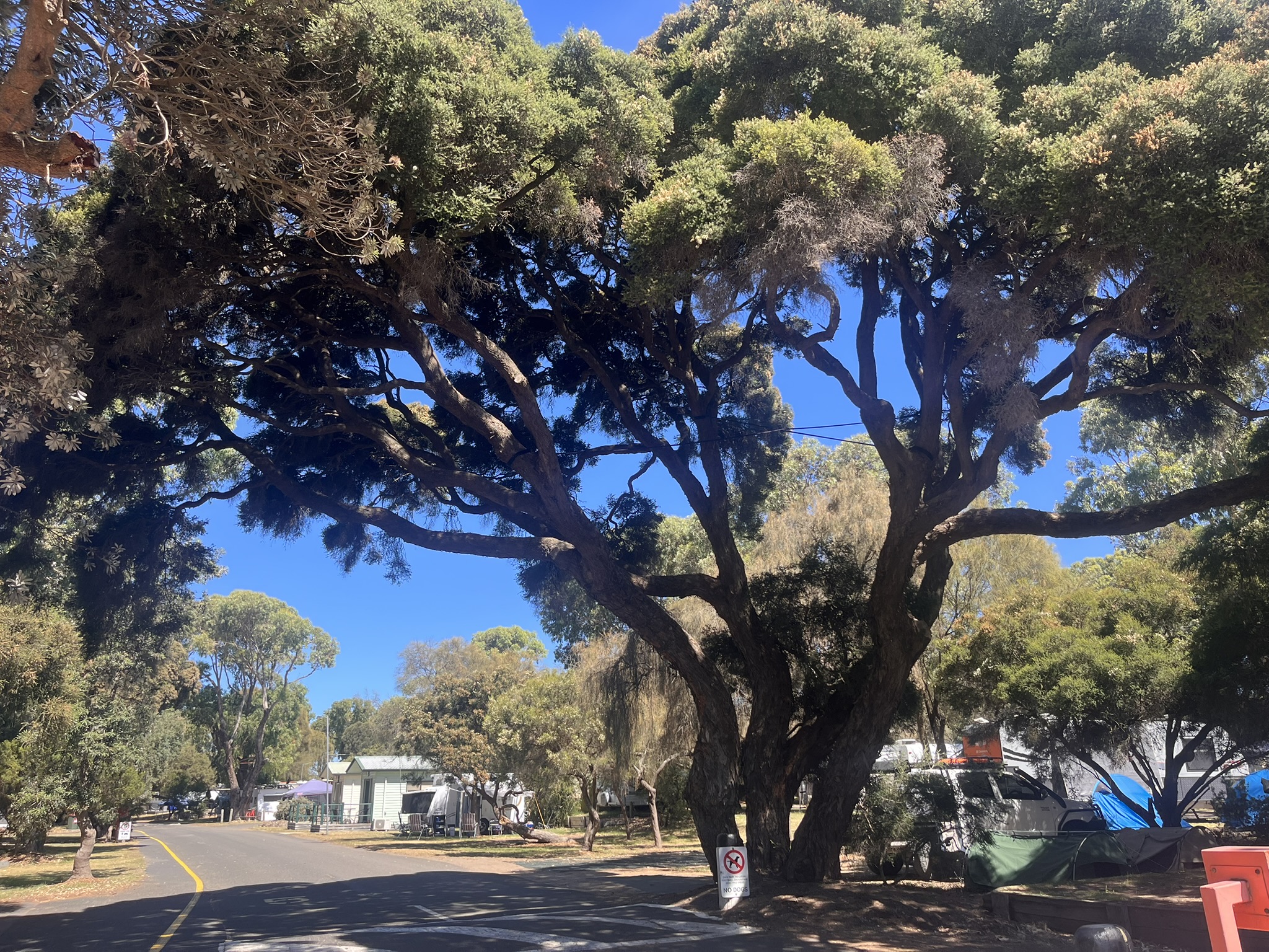 Entrance to Barwon Heads Caravan Park